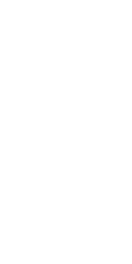 UNDP Logo